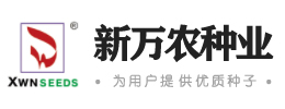 山東德泉網(wǎng)絡(luò)科技有限公司